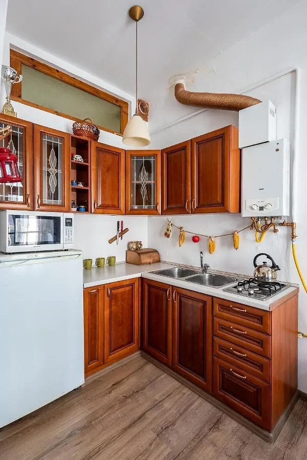Historical Center Of Lviv Apartment